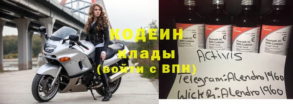 индика Белокуриха