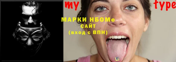 индика Белокуриха