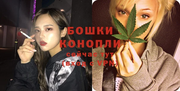 сатива Тайга