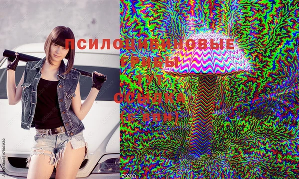 гашик Беломорск