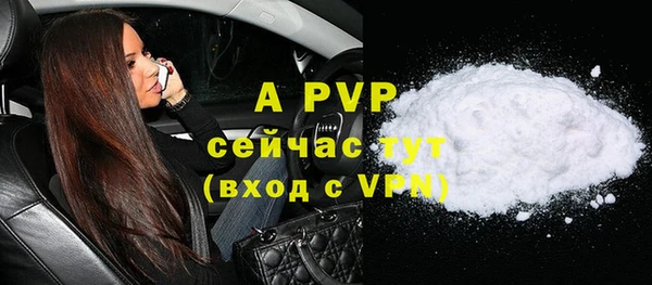 индика Белокуриха
