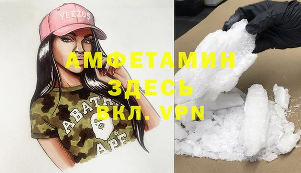 индика Белокуриха