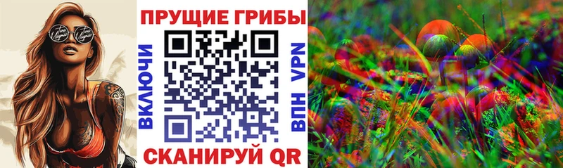дарнет шоп  ОМГ ОМГ tor  darknet Telegram  Володарск  Галлюциногенные грибы ЛСД 